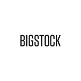 Что такое Bigstock?