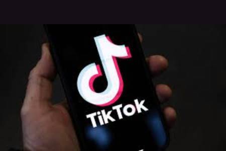 TikTok Ads