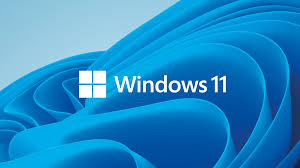 Microsoft Windows 11 Pro
