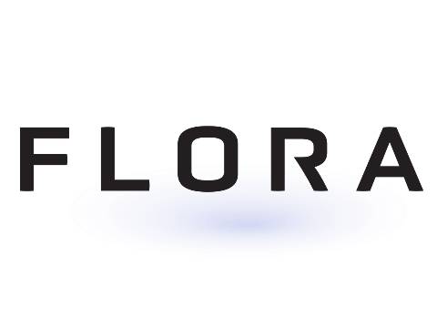 Зачем нужен Flora AI?