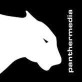 Что такое PantherMedia Stock Agency?